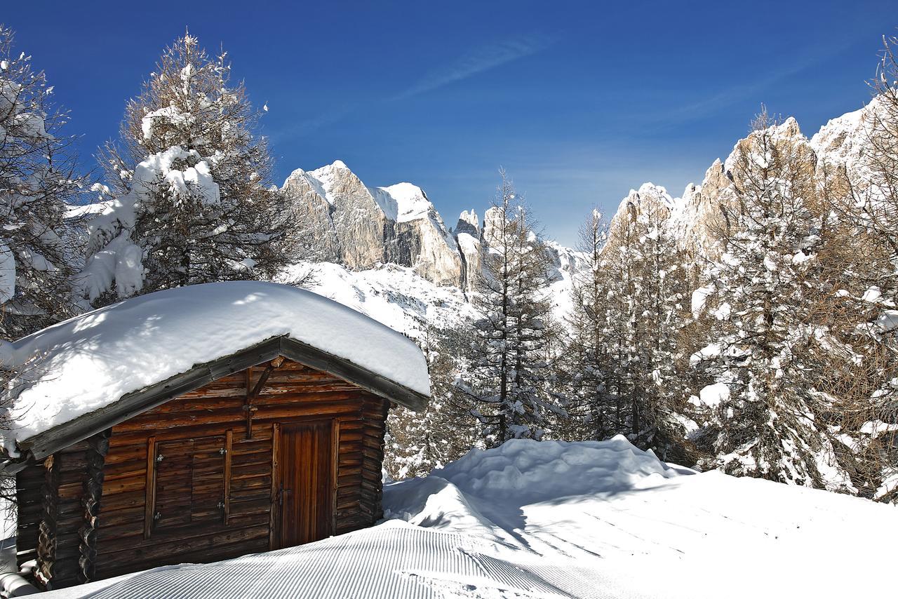 B&B Garni Villa Campitello Campitello di Fassa Exteriér fotografie